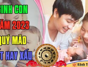 Sinh con 2023 Quý Mão có tốt không – Xem tuổi bố mẹ sinh con 2023