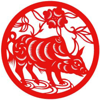 Xem tử vi ngày 7/5/2023